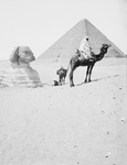 Free Picture of Men With Camels Near the Great Sphinx and Pyramids