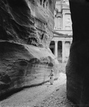 Free Picture of The Treasury Through the Siq, Petra