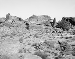 Free Picture of Citadel and Obelisk of Zibb Attuf