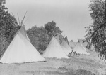 Free Picture of Canvas Tipis in Assiniboine Camp