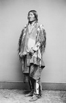 Free Picture of Crow Native American Chief