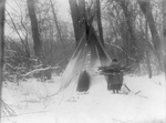 Free Picture of Apsaroke Woman Bringing Firewood to Tipi