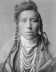 Free Picture of Crow Native American Man, Bird on High Land