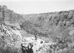 Free Picture of Crow Indian Looking Over Black Canyon