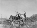 Free Picture of Three Crow Native Americans and Horses