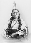 Free Picture of Sitting Bull Holding a Calumet