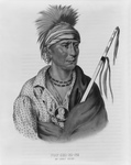 Free Picture of Ioway Native American Man Named Not-Chi-Mi-Ne