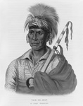 Free Picture of Ioway Native American Warrior Named Tah-Ro-Hon