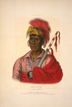 Free Picture of Ioway Native American Warrior, Tah-Ro-Hon