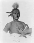 Free Picture of Moa-Na-Hon-Ga/Great Walker, Ioway Indian Chief