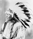 Free Picture of Chief Hollow Horn Bear