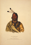 Free Picture of Sioux Indian Chief, Esh-Ta-Hum-Leah