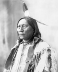 Free Picture of Chief Hollow Horn Bear