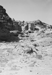 Free Picture of Serpent Monument at Petra