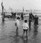 Free Picture of People in the Water, Coney Island