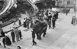 Free Picture of Elephant Rides, Coney Island
