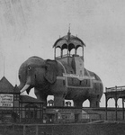 Free Picture of Elephant Bazaar at Coney Island