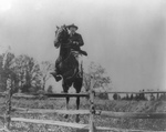 Free Picture of Roosevelt on Horse, Jumping Over Fence