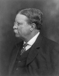 Free Picture of Roosevelt in 1913