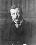 Free Picture of Theodore Roosevelt as Governor