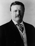 Free Picture of Theodore Roosevelt in 1904