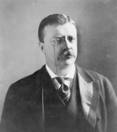 Free Picture of Roosevelt in 1902