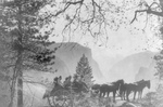 Free Picture of Roosevelt Party at Inspiration Point, Yosemite