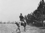 Free Picture of Theodore Roosevelt on a Horse
