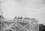 Free Picture of People on a Roller Coaster, Coney Island