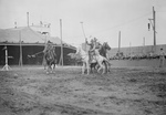 Free Picture of Wild West Polo Coney Island