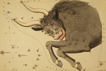 Free Picture of Taurus Constellation