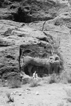 Free Picture of The Lion Monument at Petra