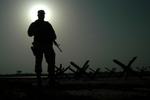 Free Picture of Soldier Looking Over Star Barricades