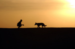 Free Picture of Man and Dog at Sunset