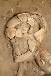 Free Picture of Human Remains