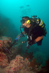 Free Picture of Using an Underwater Metal Detector