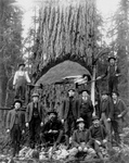 Free Picture of Lumberjacks