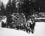 Free Picture of Horses Pulling a Sleigh of Logs