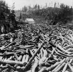 Free Picture of Logs on a River