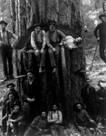 Free Picture of Posing Lumberjacks