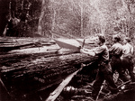 Free Picture of Men Sawing a Log