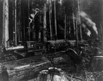 Free Picture of Logging Train