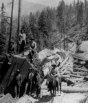Free Picture of Logging Skidway