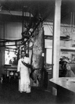 Free Picture of Man With a Giant Swordfish