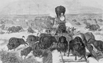 Free Picture of Hunters Shooting Bison From a Train
