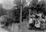 Free Picture of Children Looking at a Caged Bison