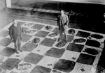 Free Picture of Men Playing Lawn Checkers