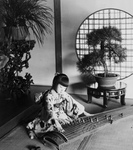 Free Picture of Girl Playing the Koto