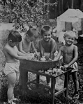 Free Picture of Boys Playing in Water