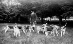 Free Picture of Man With a Pack of Hound Dogs